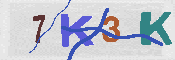 キャプチャ画像