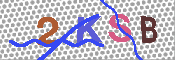 キャプチャ画像