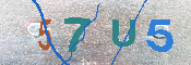 キャプチャ画像