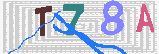 キャプチャ画像