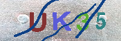 キャプチャ画像