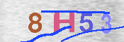 キャプチャ画像