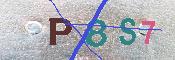キャプチャ画像