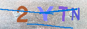 キャプチャ画像
