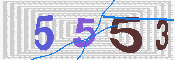 キャプチャ画像