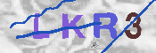 キャプチャ画像