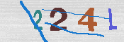 キャプチャ画像