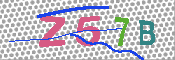 キャプチャ画像