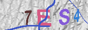 キャプチャ画像