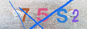 キャプチャ画像