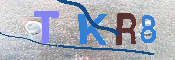キャプチャ画像