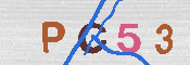 キャプチャ画像