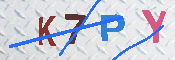 キャプチャ画像