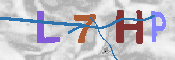キャプチャ画像