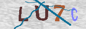 キャプチャ画像
