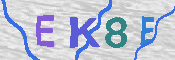 キャプチャ画像