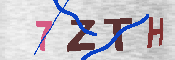 キャプチャ画像