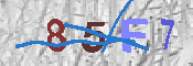 キャプチャ画像