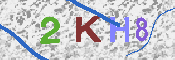キャプチャ画像
