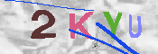 キャプチャ画像