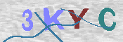 キャプチャ画像