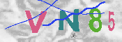 キャプチャ画像