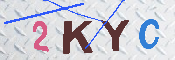 キャプチャ画像