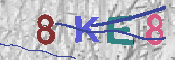 キャプチャ画像