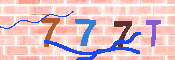 キャプチャ画像
