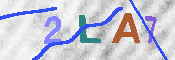 キャプチャ画像
