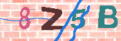 キャプチャ画像