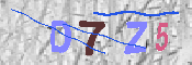 キャプチャ画像