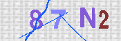 キャプチャ画像