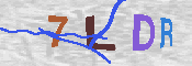 キャプチャ画像