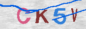 キャプチャ画像