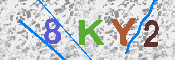 キャプチャ画像