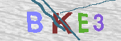 キャプチャ画像