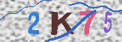 キャプチャ画像