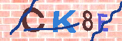 キャプチャ画像