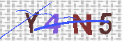 キャプチャ画像