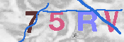 キャプチャ画像