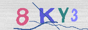 キャプチャ画像