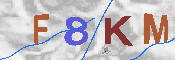キャプチャ画像