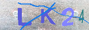 キャプチャ画像