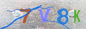 キャプチャ画像