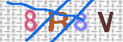 キャプチャ画像