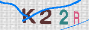 キャプチャ画像