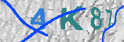 キャプチャ画像