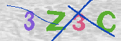 キャプチャ画像