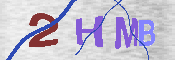 キャプチャ画像